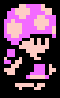 Toadette image